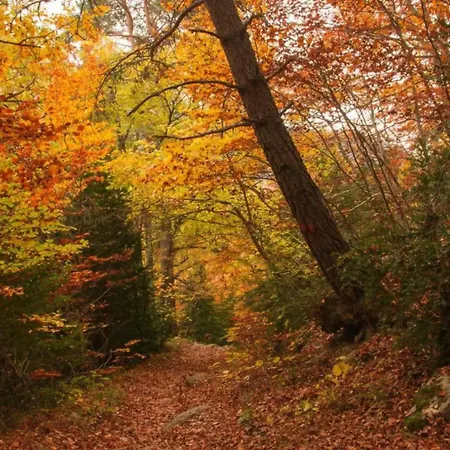 Borda De Fadrin Lantställe Ipies
