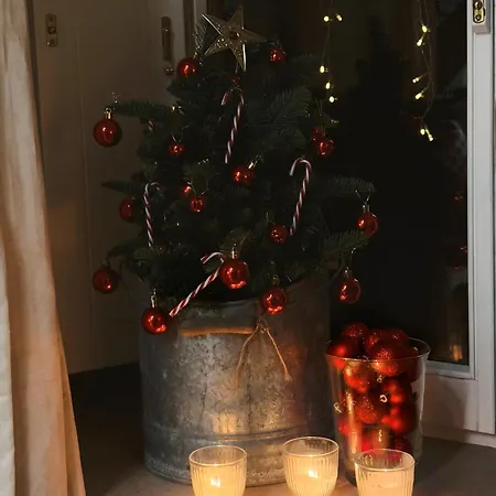 Borda De Fadrin * Ipies