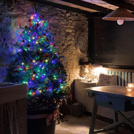 Borda De Fadrin * Ipies