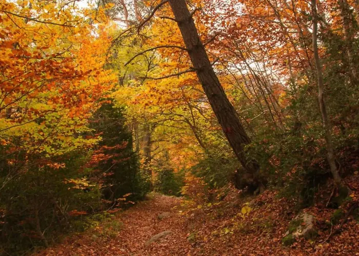 Borda De Fadrin Casa di campagna Ipies