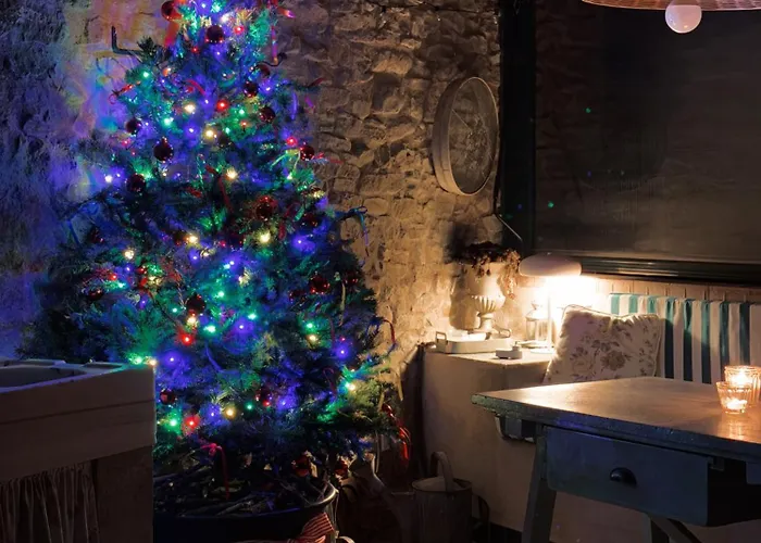 Borda De Fadrin * Ipies